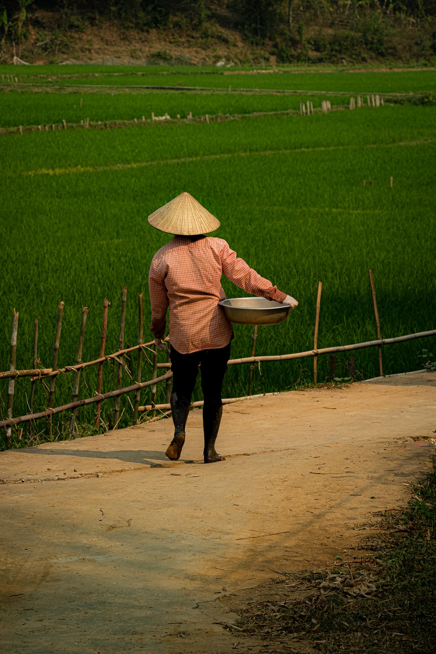 Vietnam